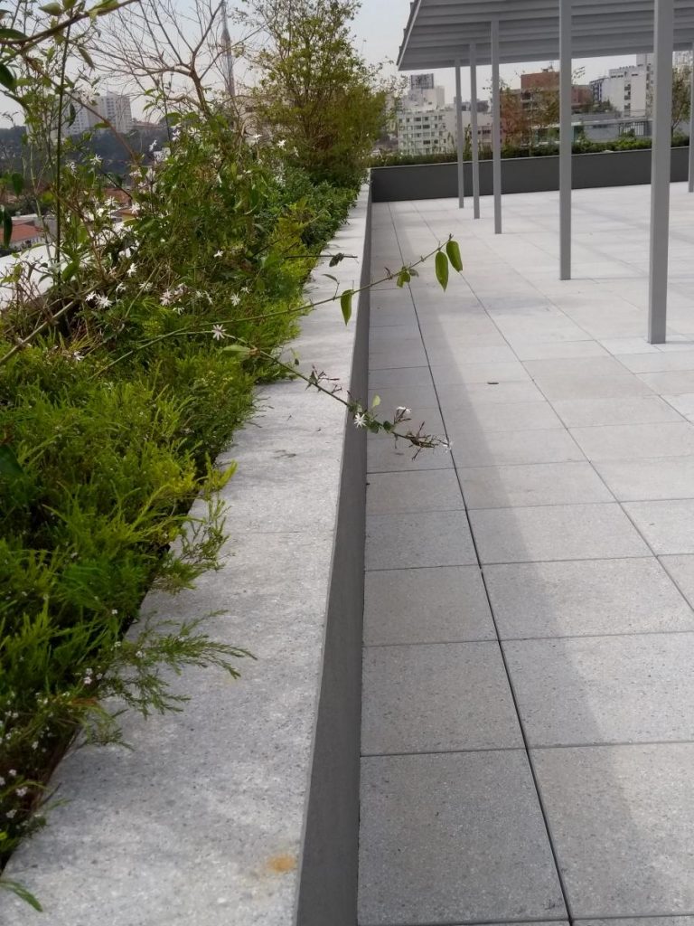 Realizações - Girassol 285 / SP